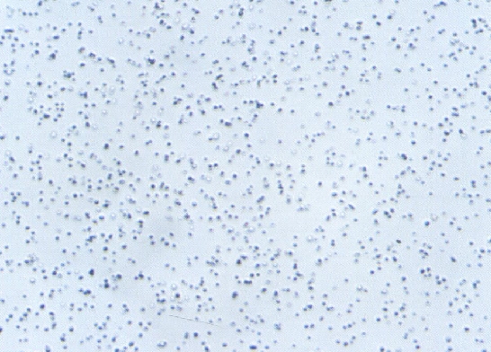 TBW—A(金剛石超細(xì)微粉)